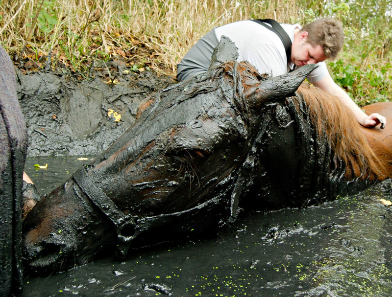 Bogged Down | Getty Images Photo by Daniel Bockwoldt/picture alliance