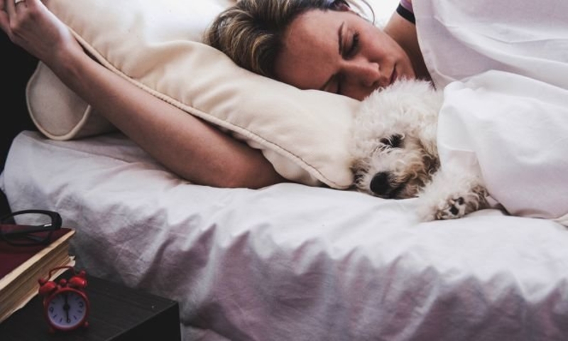 How Healthy Is It For Your Dog To Sleep in Bed With You? | 