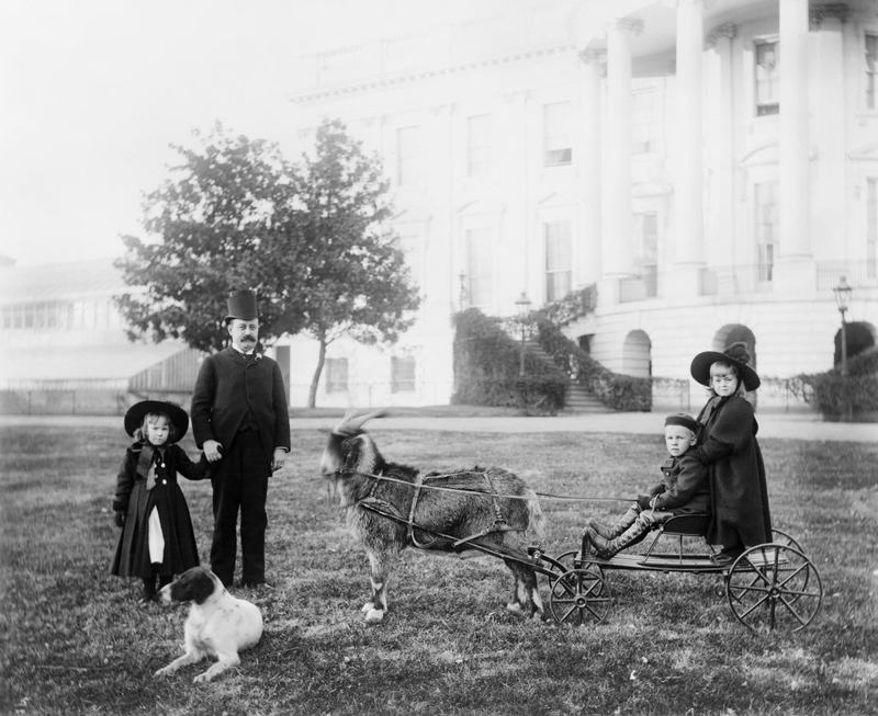 Old Photographs Of US Presidents And Their Pets | 