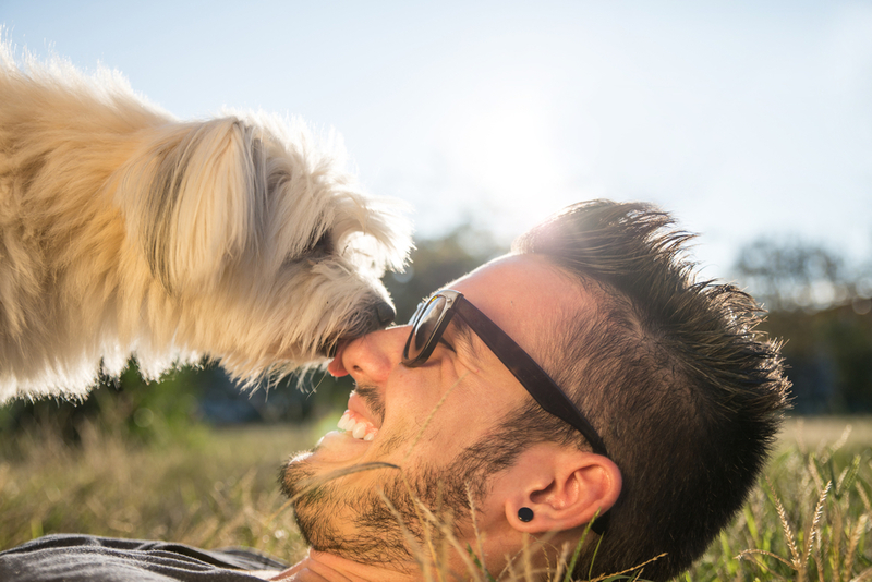 How To Tell Your Dog ‘I Love You’ In 4 Simple Ways | 