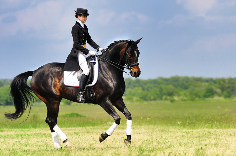 Here’s Everything You Need to Know About The Equestrian Sport of Dressage | Shutterstock
