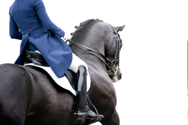 The Brave Art of Para-Equestrian | Shutterstock