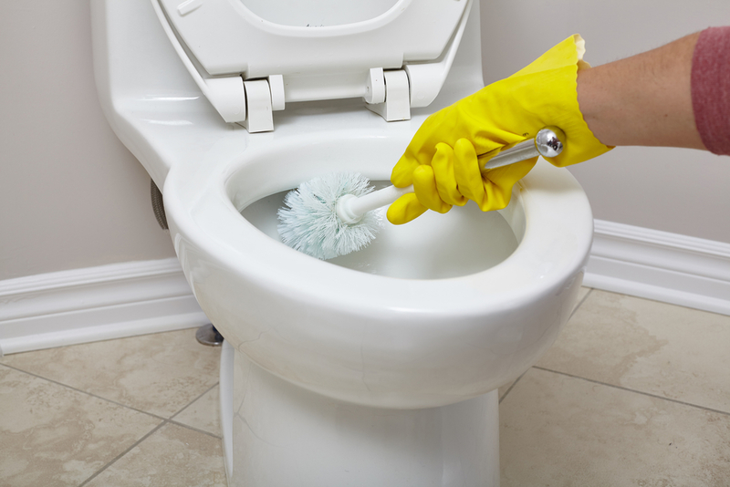 Using Soda Pop to Clean Your Toilet Bowl | Shutterstock