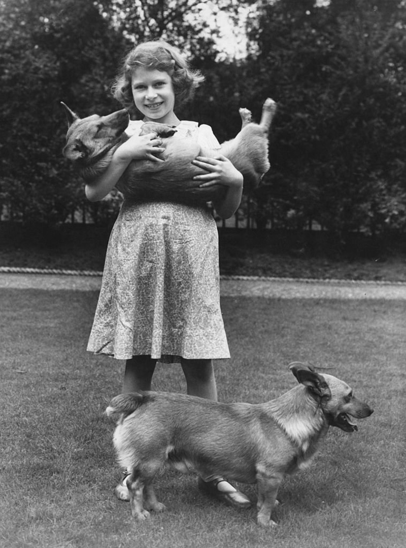 The Queen and Her Royal Love for Animals | Getty Images