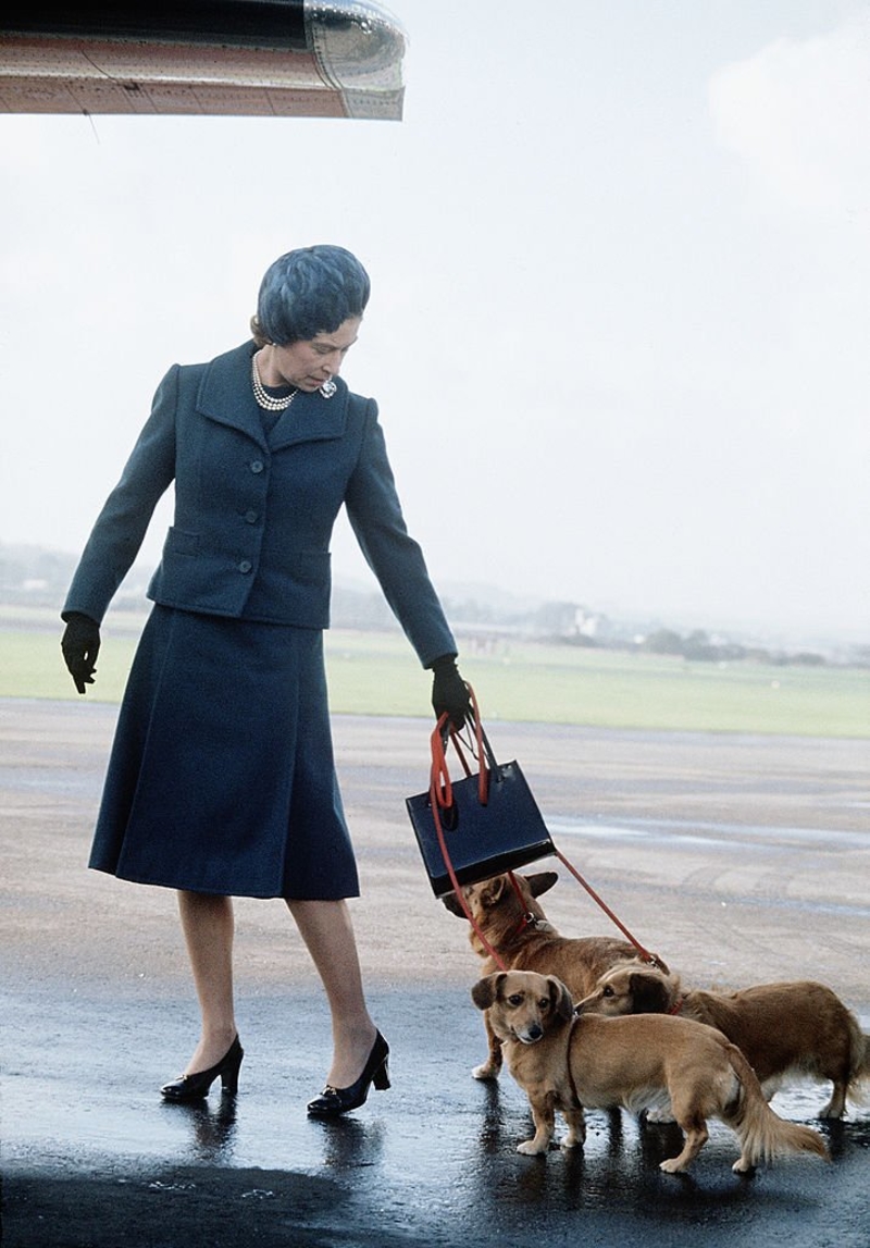 The Queen and Her Royal Love for Animals | Getty Images