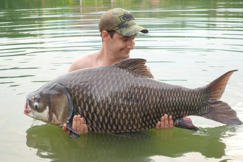 This 222 lbs. Siamese Carp Is The Real Deal | Alamy Stock Photo
