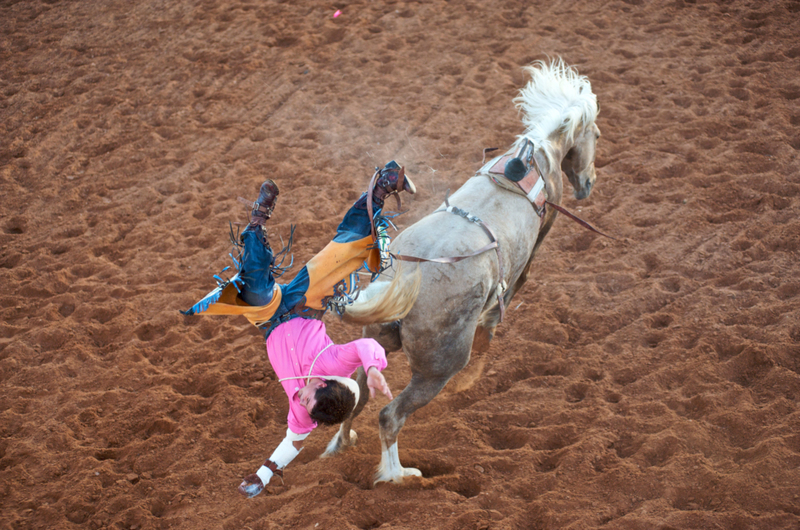 Yeehaw, Cowboy | Alamy Stock Photo by jochem wijnands/Horizons WWP
