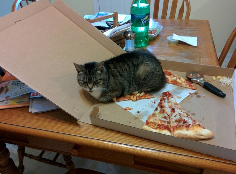 I Thought You Were Done Eating… | Imgur.com/wY0ayUk