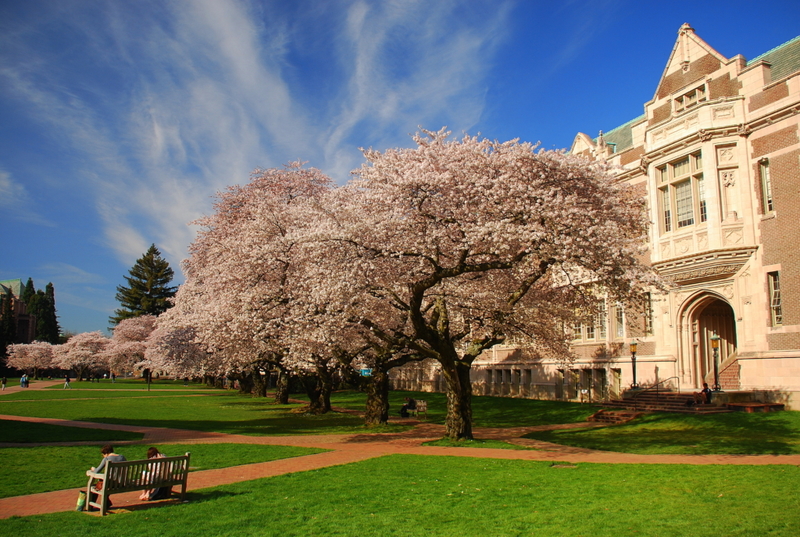 The University Of Washington: $3.4 Billion | Shutterstock