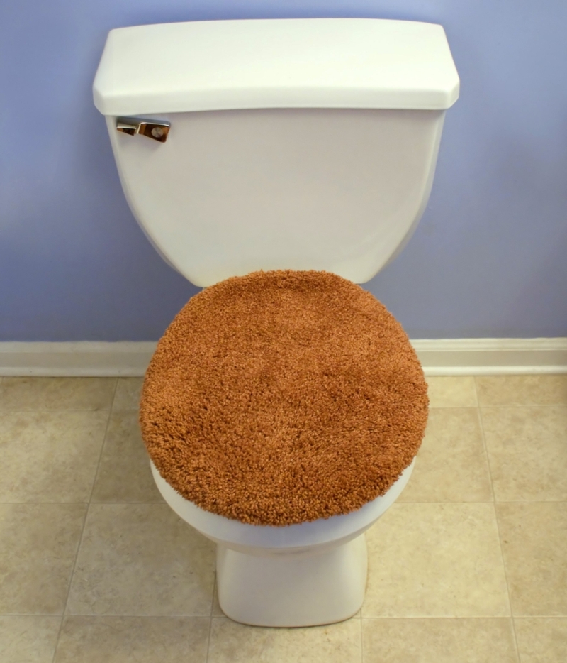 Fuzzy toilet seat covers | ARENA Creative/Shutterstock