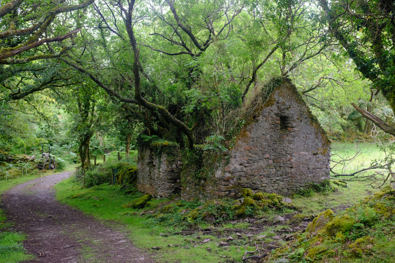 Abandoned Cottage at The Kerry Way Walking Path Between Sneem And Kenmare in Ireland | Shutterstock
