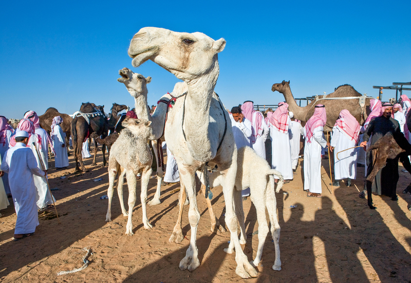 Saudi Arabia | Shutterstock