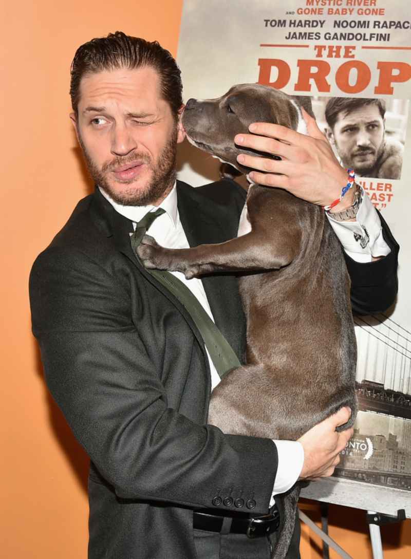 Tom Hardy | Getty Images Photo by Theo Wargo