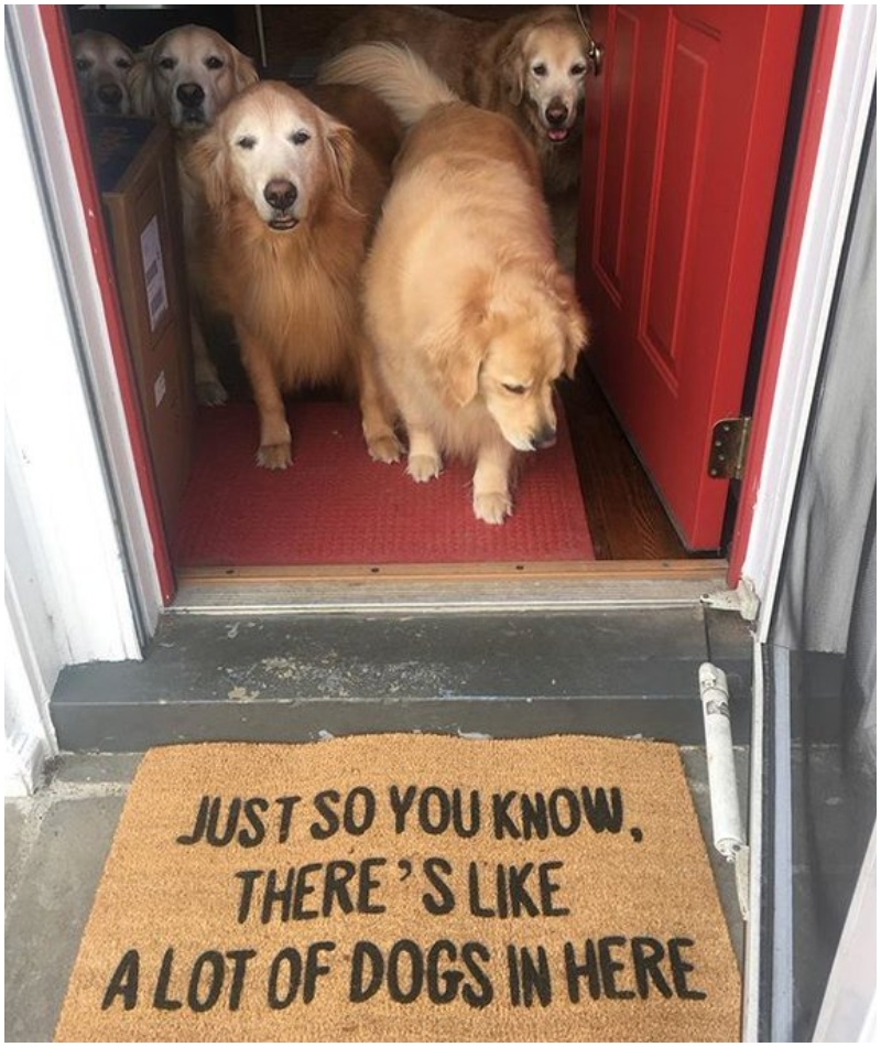 Way to Keep the Guests Arriving | Twitter/@TheGoldenRatio4