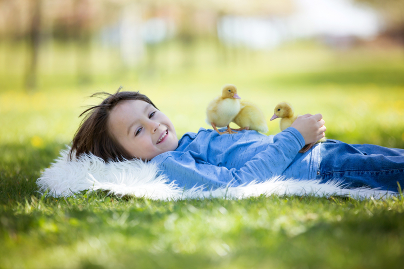 Lucky Duck | Shutterstock