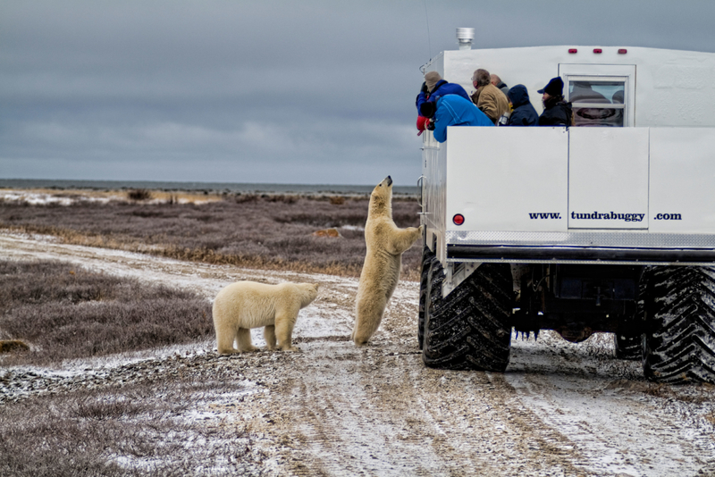 Polar Express | Alamy Stock Photo by Bill Bachmann