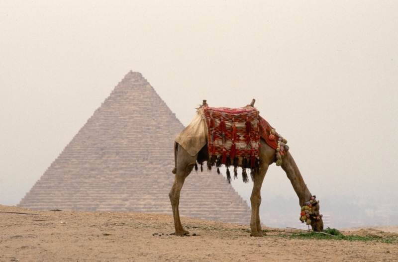 To Build The Pyramids | Getty Images Photo by Peter Turnley