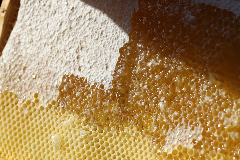 Honey | Getty Images Photo by Wolfgang Kumm