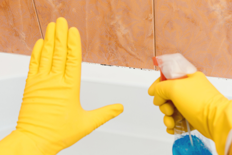 Antibacterial Cleaners | Shutterstock