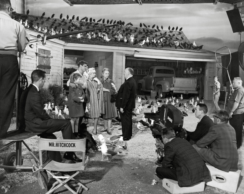 Acting Is for the Birds | Alamy Stock Photo by PictureLux/The Hollywood Archive 