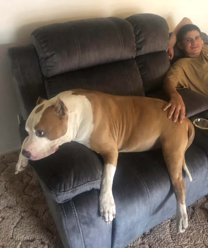 You Need to Get a Bigger Couch | Reddit.com/damnitjanass