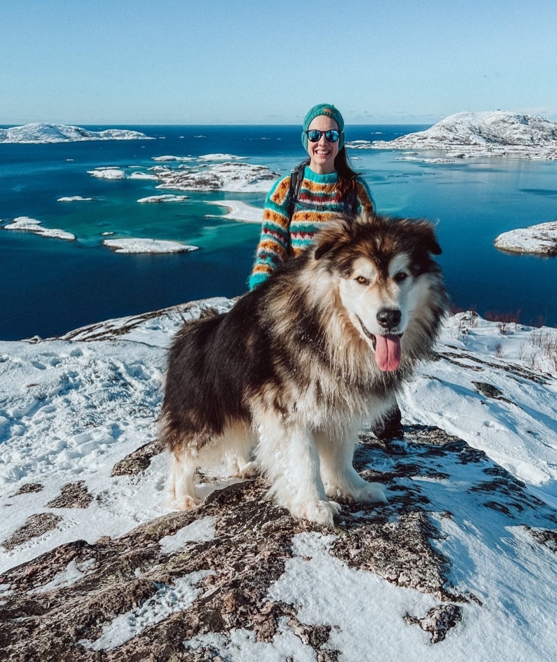 A One-Dog Sled Team | Instagram/@pernilleberglund