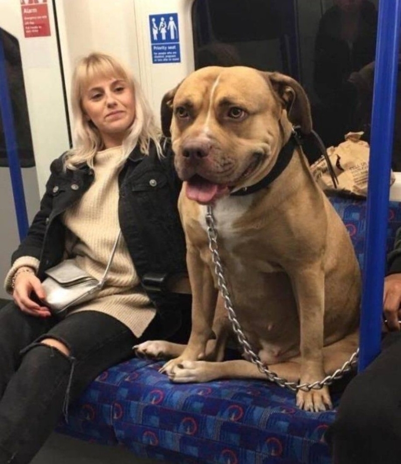 Spotted on the Underground | Reddit.com/just_ge0rge