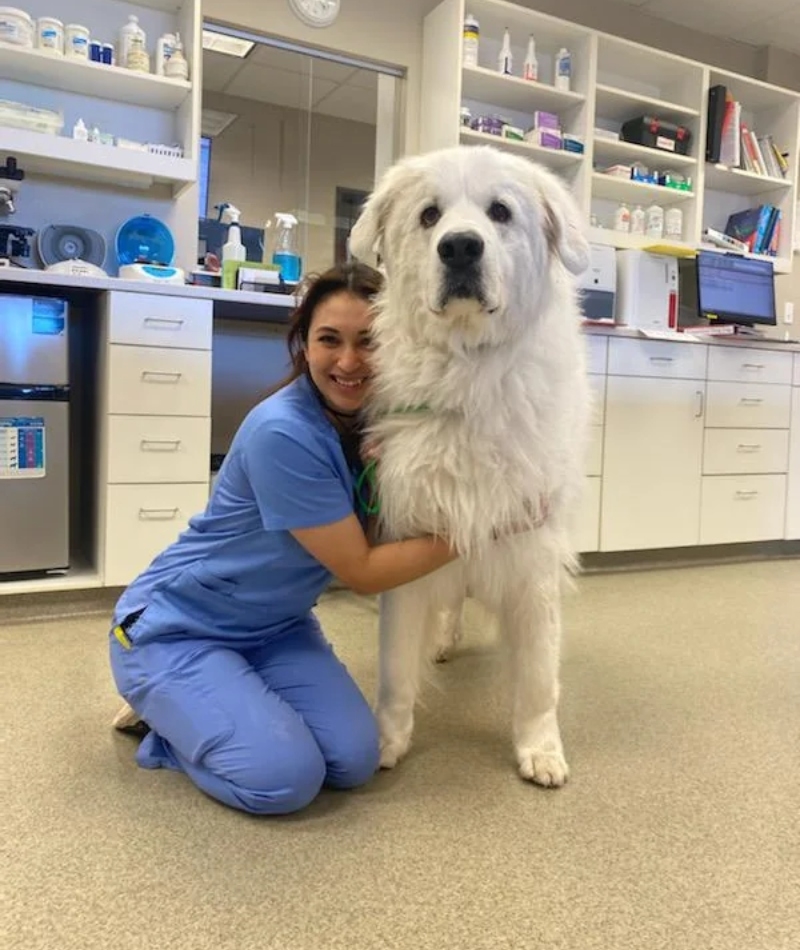We’re Going to Need Another Vet | Reddit.com/SunsetVetClinic