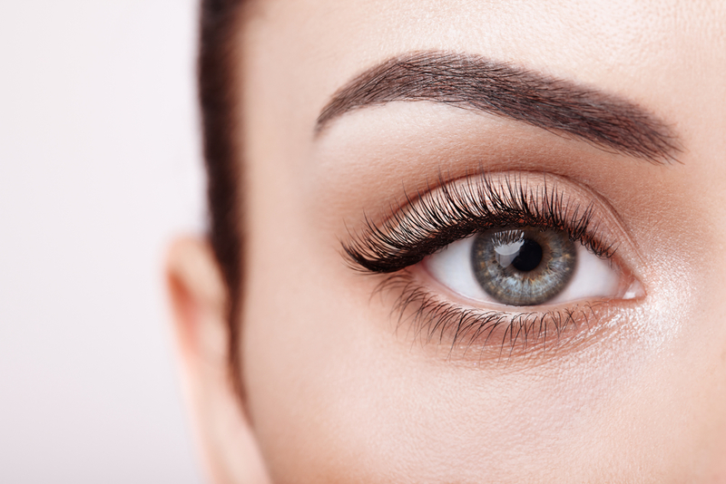 Keep Your Eyebrows on Fleek | Oleg Gekman/Shutterstock