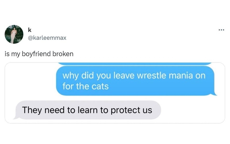 Wrestler Cats | Twitter/@karleemmax