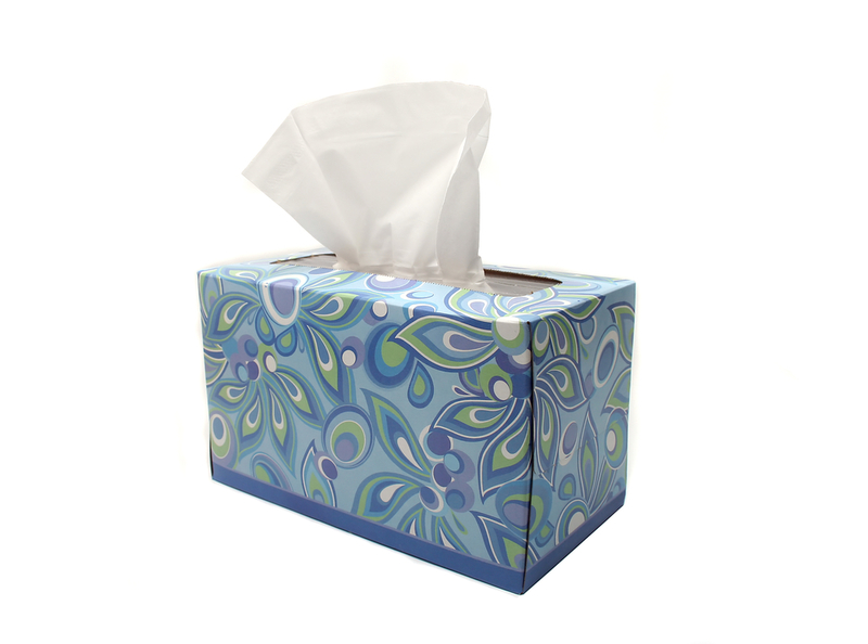 Tissue Boxes For Valuables | NC_1/Shutterstock