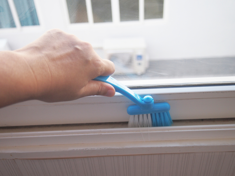 Clean a Window or Door Screen | Shutterstock