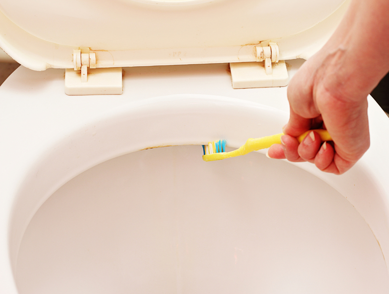 Clean Your Toilet | Shutterstock