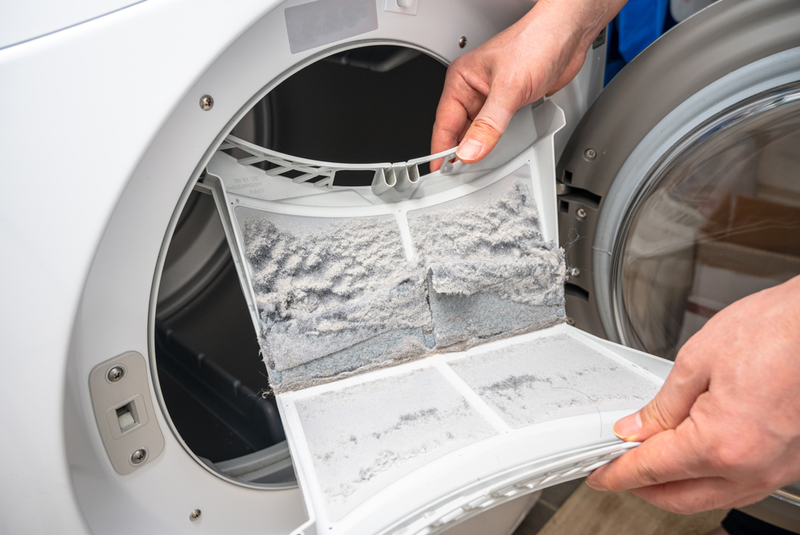 Cleaning Out the Dryer's Filter | Shutterstock