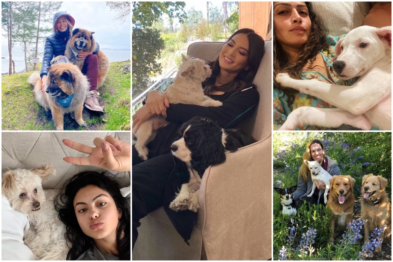 More of Your Favorite Celebrities and Their Rescued Furbabies | Instagram/@chelseahandler & @camimendes & @oliviamunn & @camilamcconaughey & @hilaryswank