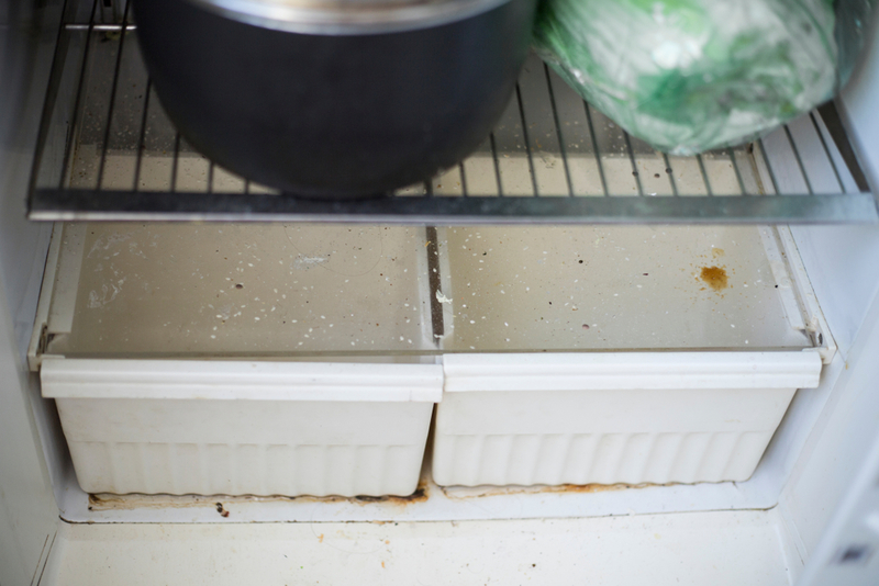 Refrigerador fresco y ordenado | Shutterstock