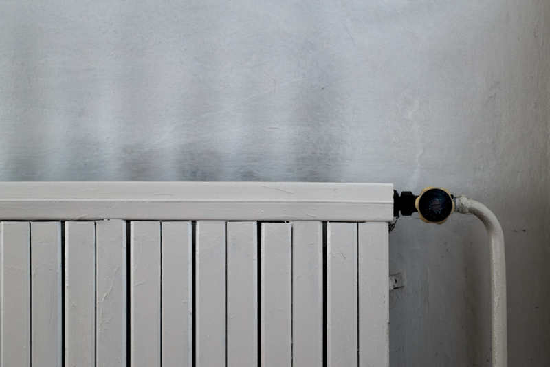 Limpia las paredes | Shutterstock