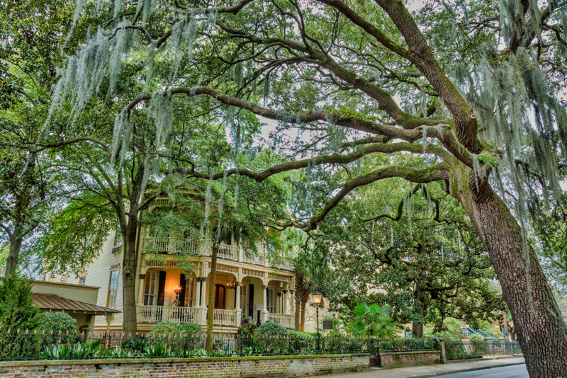 Rodaje en Savannah | Alamy Stock Photo