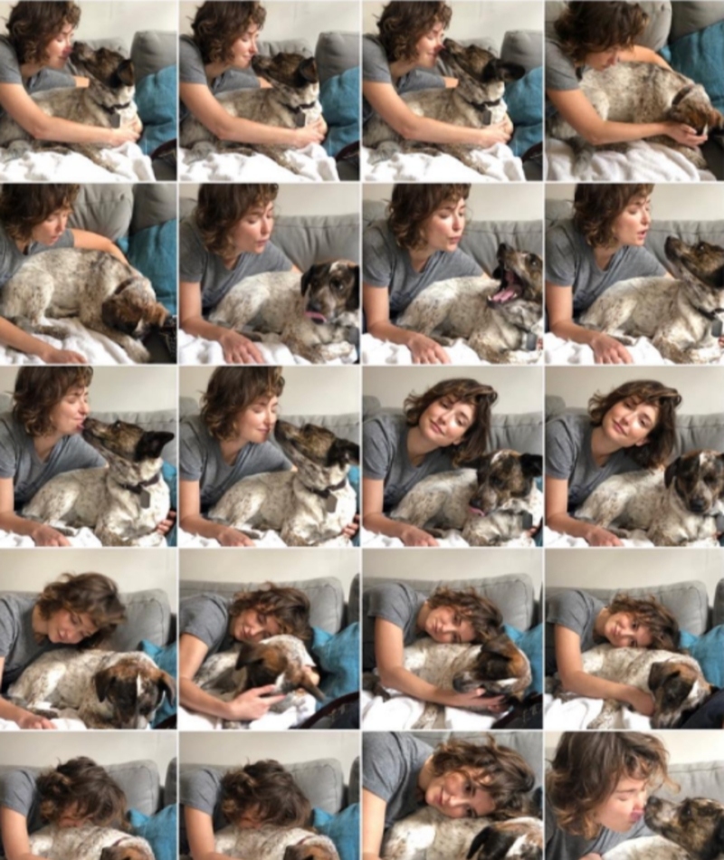 Amante de los perros | Instagram/@mintmilana