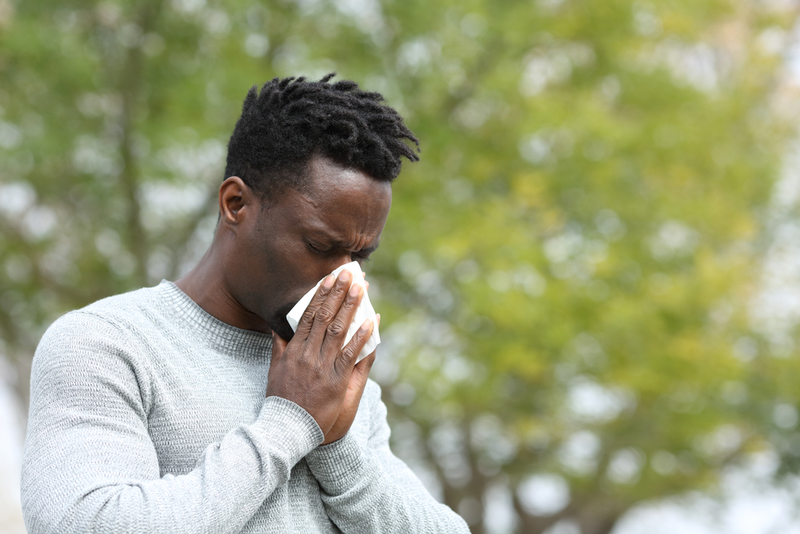 Reduce los síntomas de la alergia | Pheelings media/Shutterstock