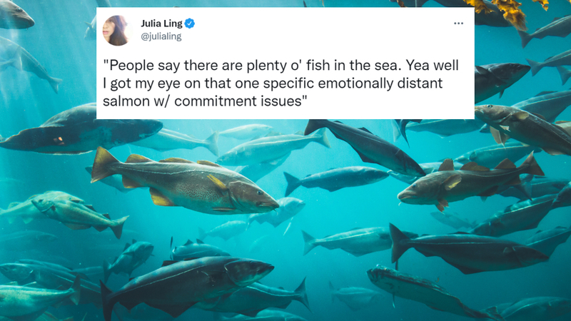 Plenty of Fish | Shutterstock & Twitter/@julialing