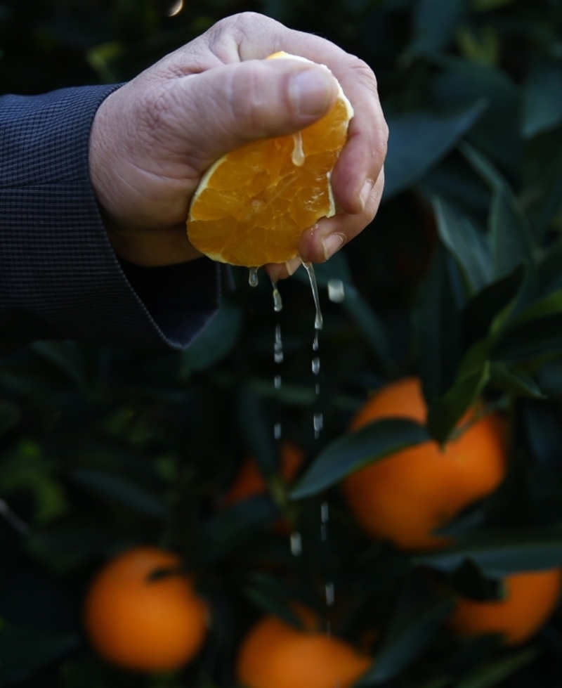 Fresh Squeezed Pathogens | Getty Images Photo by Orhan Cicek/Anadolu Agency