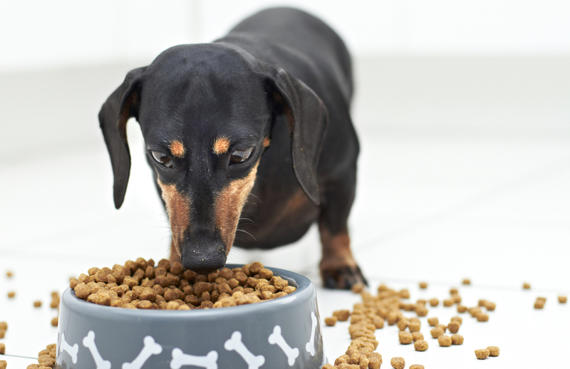 Facilita la comida a las dentaduras sensibles | Shutterstock Photo by dogboxstudio