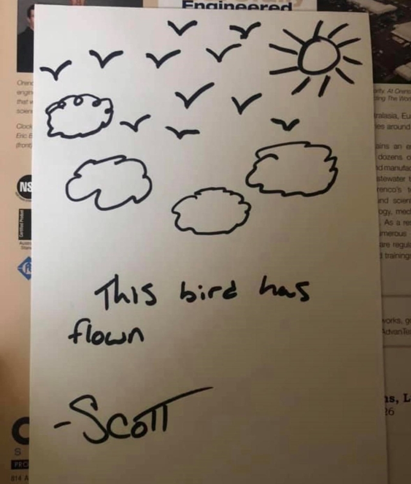 This Bird Has Flown | Reddit.com/Critical_Composer106