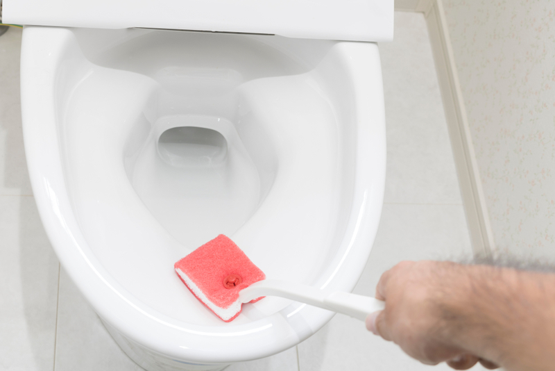 Mantiene la taza del inodoro limpia y brillante | Shutterstock
