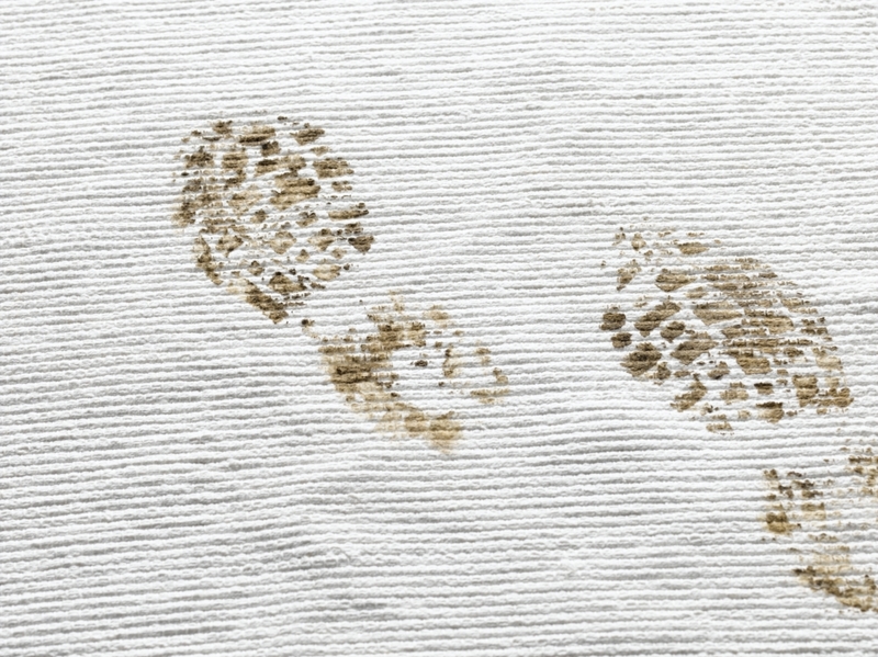 Eliminar las manchas de la alfombra | Getty Images Photo by Alex Hayden