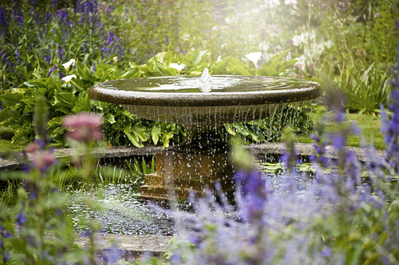 Haz que el agua de tu estanque se vea perfecta | Getty Images Photo by Jacky Parker Photography