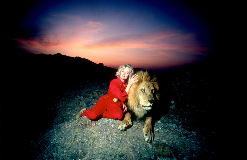 El león de Tippi Hedren | Getty Images Photo by Paul Harris