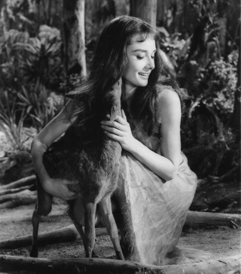 Hepburn, amante de los ciervos | Getty Images Photo by Metro-Goldwyn-Mayer