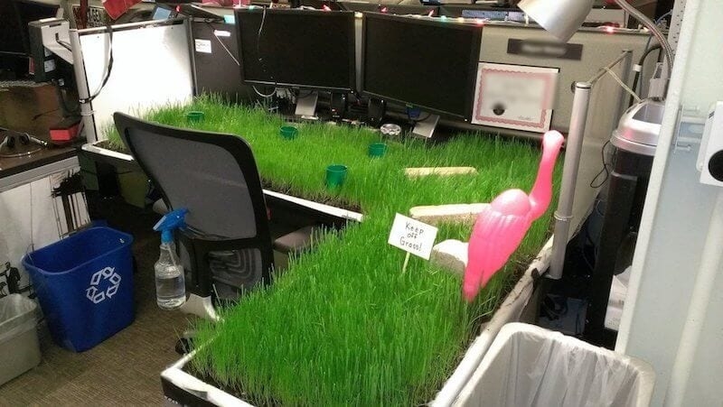 The Grass Is Always Greener | Imgur.com/hOHEr5T
